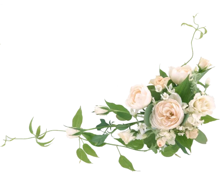 Nature Et Coquelicots Decoration Florale Mandelieu Nos Valeurs