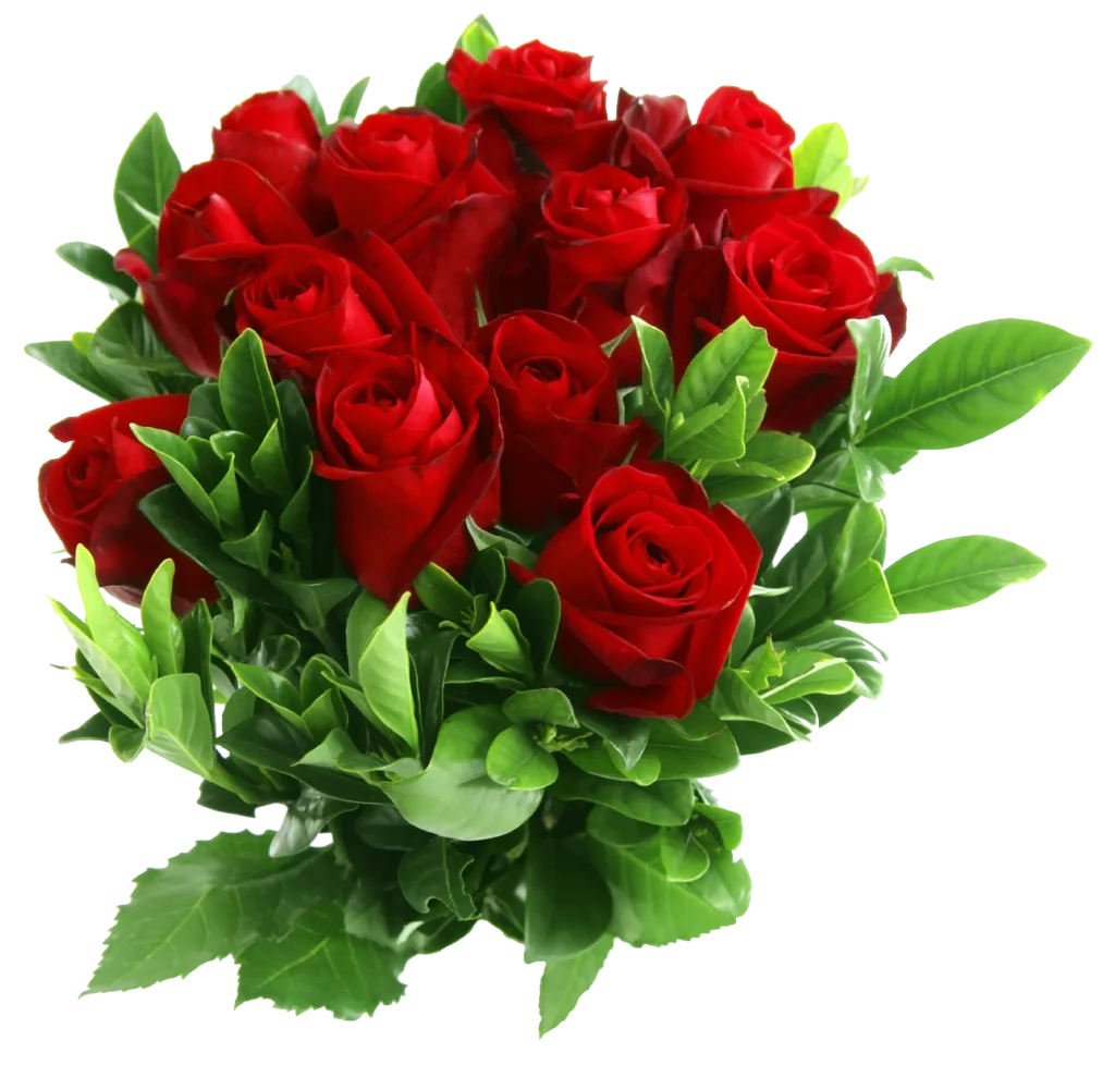 Nature Et Coquelicots Decoration Florale Mandelieu Location Delements De Decoration